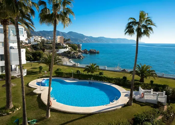 Palmeras 72 Menyber *