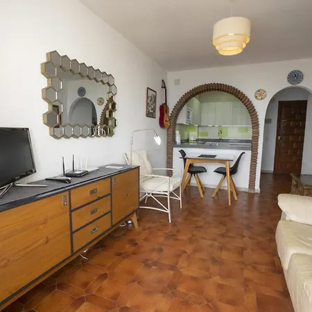 Palmeras 72 Menyber *