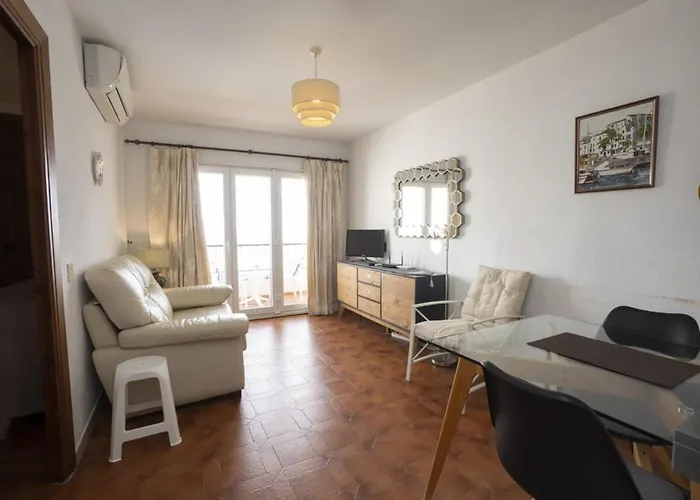 Palmeras 72 Menyber *