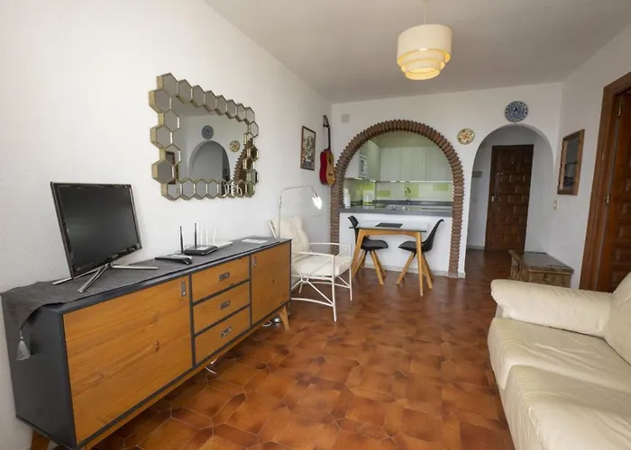 Palmeras 72 Menyber *